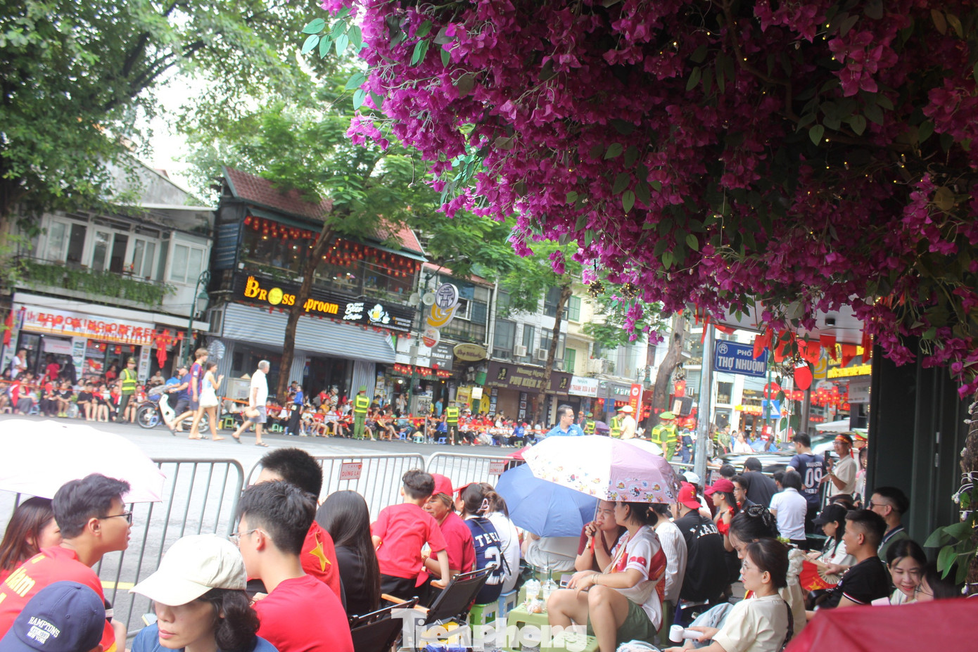 tp-cho-thue-ghe-xem-hop-luyen-a80-42-1756296921563-17562969266751745063407.jpg