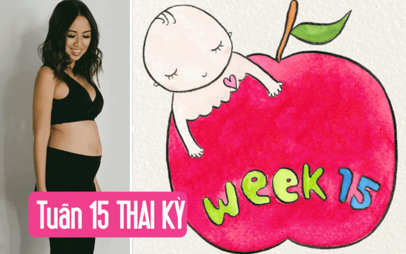 Tuần thai thứ 15: Bé mọc lông mi và ngày càng “nghịch ngợm” hơn trong bụng mẹ