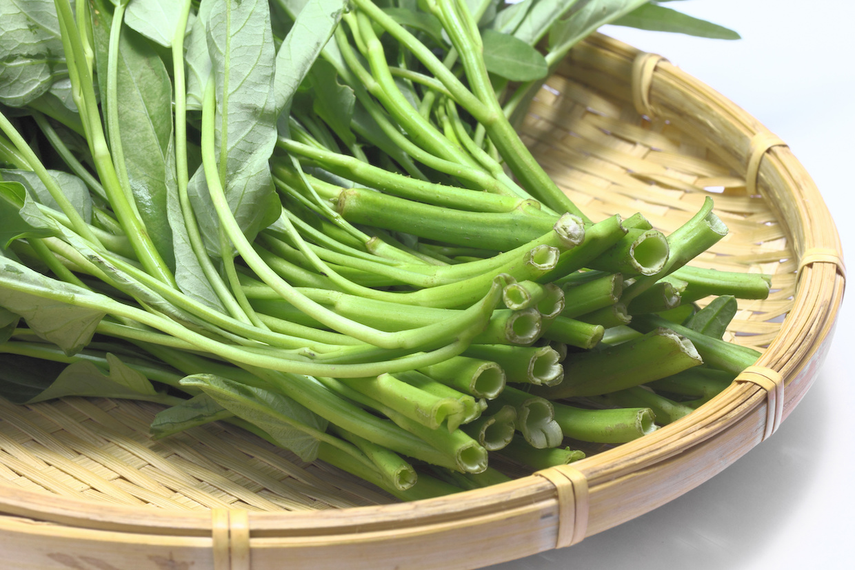 Loại rau "nhà quê" của Việt Nam, sang Nhật "đắt xắt ra miếng" nhưng vẫn được săn đón vì tốt cho dạ dày, giải độc gan và đẹp da- Ảnh 1. Loại rau "nhà quê" của Việt Nam, sang Nhật "đắt xắt ra miếng" nhưng vẫn được săn đón vì tốt cho dạ dày, giải độc gan và đẹp da- Ảnh 1.