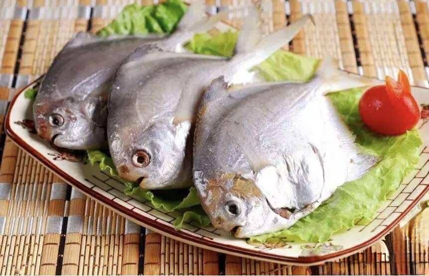 "Làm sao để hấp cá chim thơm ngon, mềm mại, đậm đà mà không tanh?": Đầu bếp lâu năm sẽ chỉ mẹo từ A-Z - Ảnh 1. "Làm sao để hấp cá chim thơm ngon, mềm mại, đậm đà mà không tanh?": Đầu bếp lâu năm sẽ chỉ mẹo từ A-Z - Ảnh 1.
