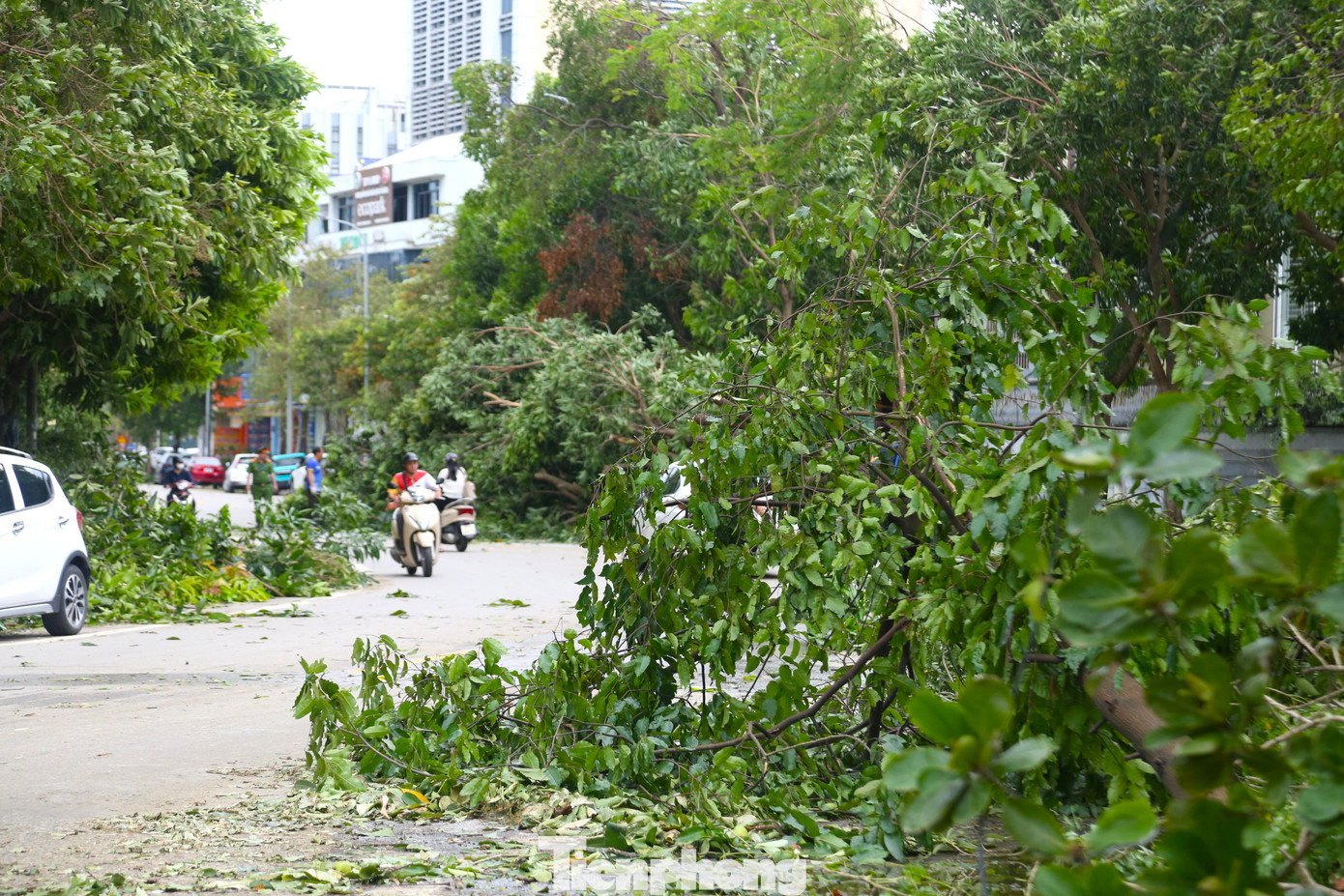 Công nhân môi trường dọn hơn 2.000 tấn rác/ngày sau bão - Ảnh 1. Công nhân môi trường dọn hơn 2.000 tấn rác/ngày sau bão - Ảnh 1.