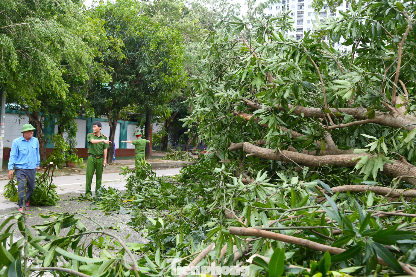Công nhân môi trường dọn hơn 2.000 tấn rác/ngày sau bão - Ảnh 14. Công nhân môi trường dọn hơn 2.000 tấn rác/ngày sau bão - Ảnh 14.