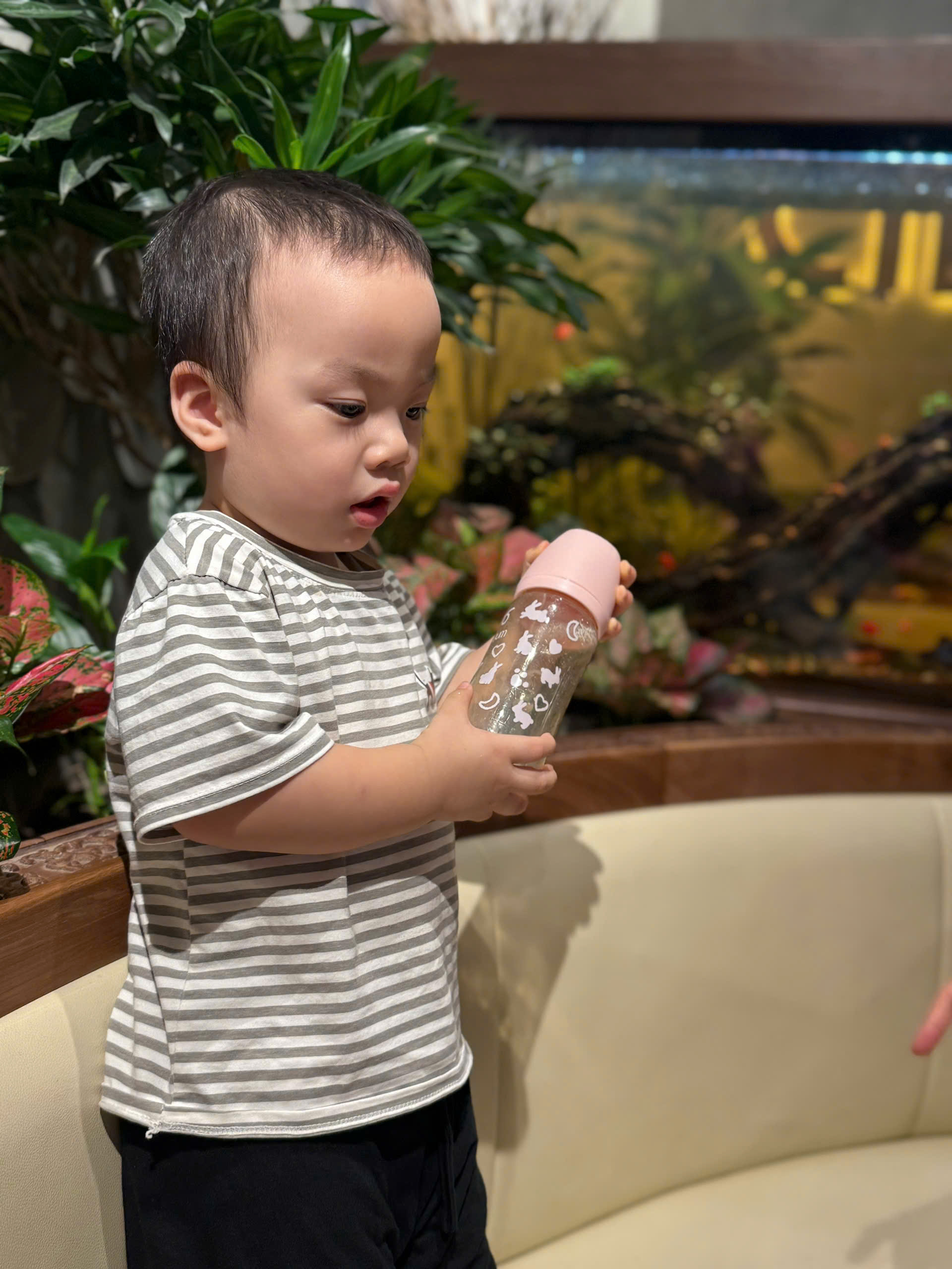 Hướng dẫn đọc thành phần, bao bì, cách lựa chọn sữa để các mẹ không bị “hoa mắt” khi đứng trước kệ sữa- Ảnh 3. Hướng dẫn đọc thành phần, bao bì, cách lựa chọn sữa để các mẹ không bị “hoa mắt” khi đứng trước kệ sữa- Ảnh 3.