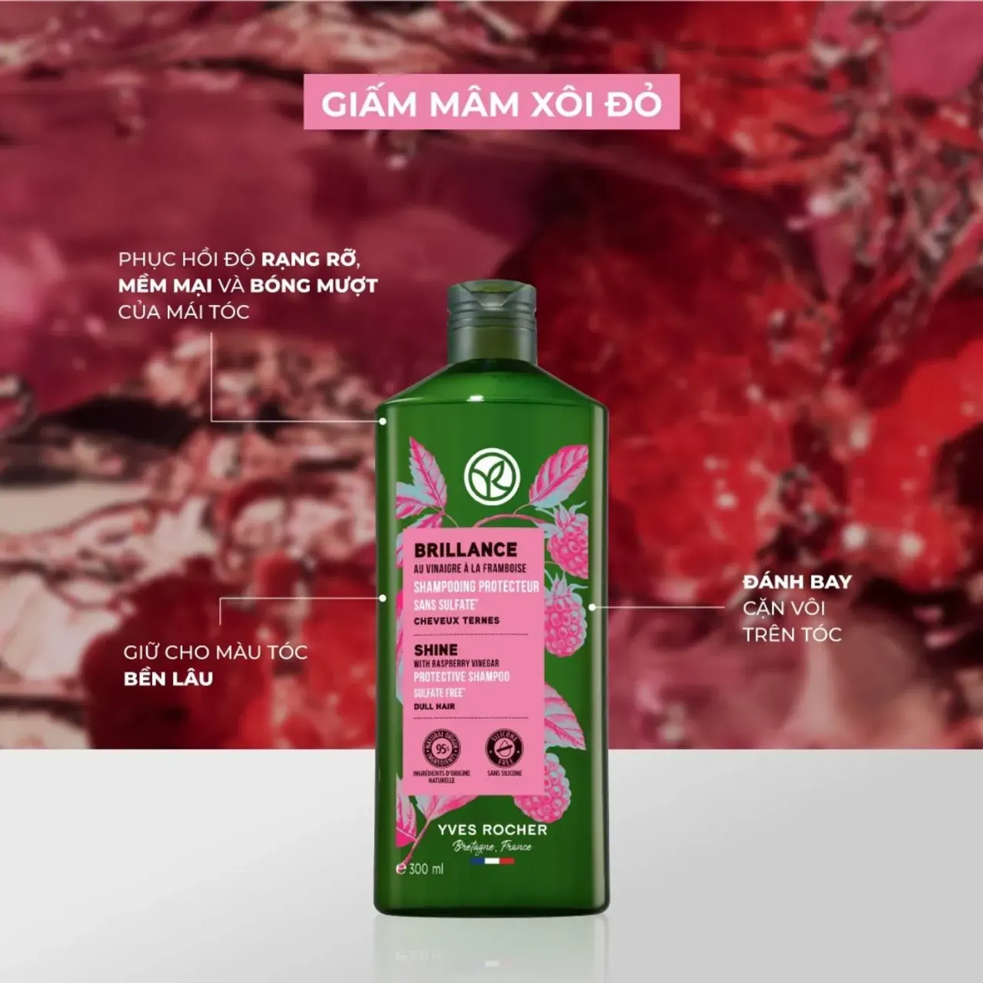 5 dầu gội bảo vệ màu mà hội nhuộm tóc rất cần - Ảnh 2. 5 dầu gội bảo vệ màu mà hội nhuộm tóc rất cần - Ảnh 2.