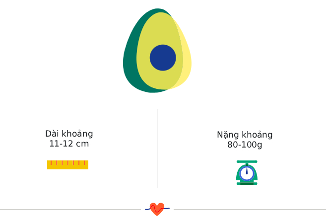 Tuần thai thứ 16: Mẹ đã có thể cảm nhận được thai máy qua những cú đạp của bé- Ảnh 4.