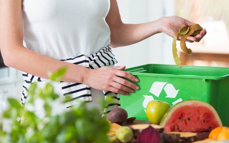 foodtankreducefoodwaste-1754148671861576738033-0-0-396-634-crop-17541486787181341591447-1754181476764-17541814774341545097756-0-0-477-763-crop-17541815751321234806857.jpg