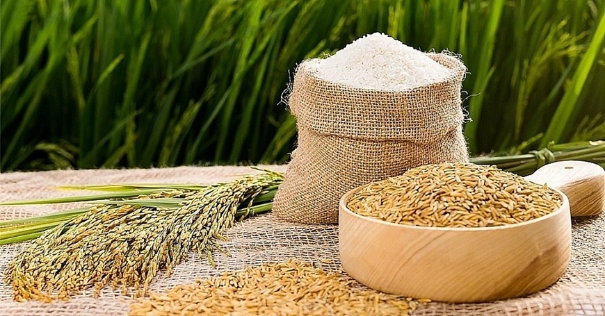 Những cái tên "hệ lương thực" đặt ở nhà cho con để có 1 em bé dễ nuôi, dễ lớn- Ảnh 5. Những cái tên "hệ lương thực" đặt ở nhà cho con để có 1 em bé dễ nuôi, dễ lớn- Ảnh 5.