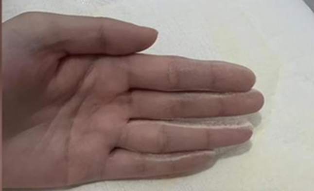 4 đồ dùng bán cực chạy trên các sàn thương mại điện tử bị "phanh phui" chứa chất gây ung thư, nhiều gia đình Việt vẫn đang vô tư sử dụng- Ảnh 3. 4 đồ dùng bán cực chạy trên các sàn thương mại điện tử bị "phanh phui" chứa chất gây ung thư, nhiều gia đình Việt vẫn đang vô tư sử dụng- Ảnh 3.