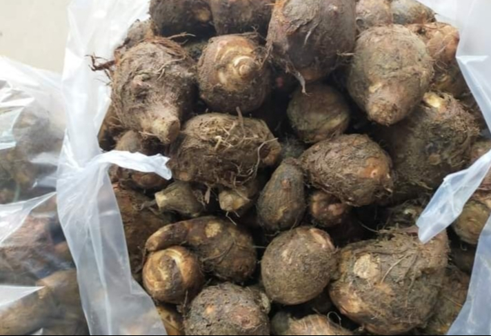 Dùng nguyên liệu "vua của thực phẩm tính kiềm" nấu món ăn dễ lại ngon, nước dùng sánh mịn rất hợp với cơm - Ảnh 1. Dùng nguyên liệu "vua của thực phẩm tính kiềm" nấu món ăn dễ lại ngon, nước dùng sánh mịn rất hợp với cơm - Ảnh 1.