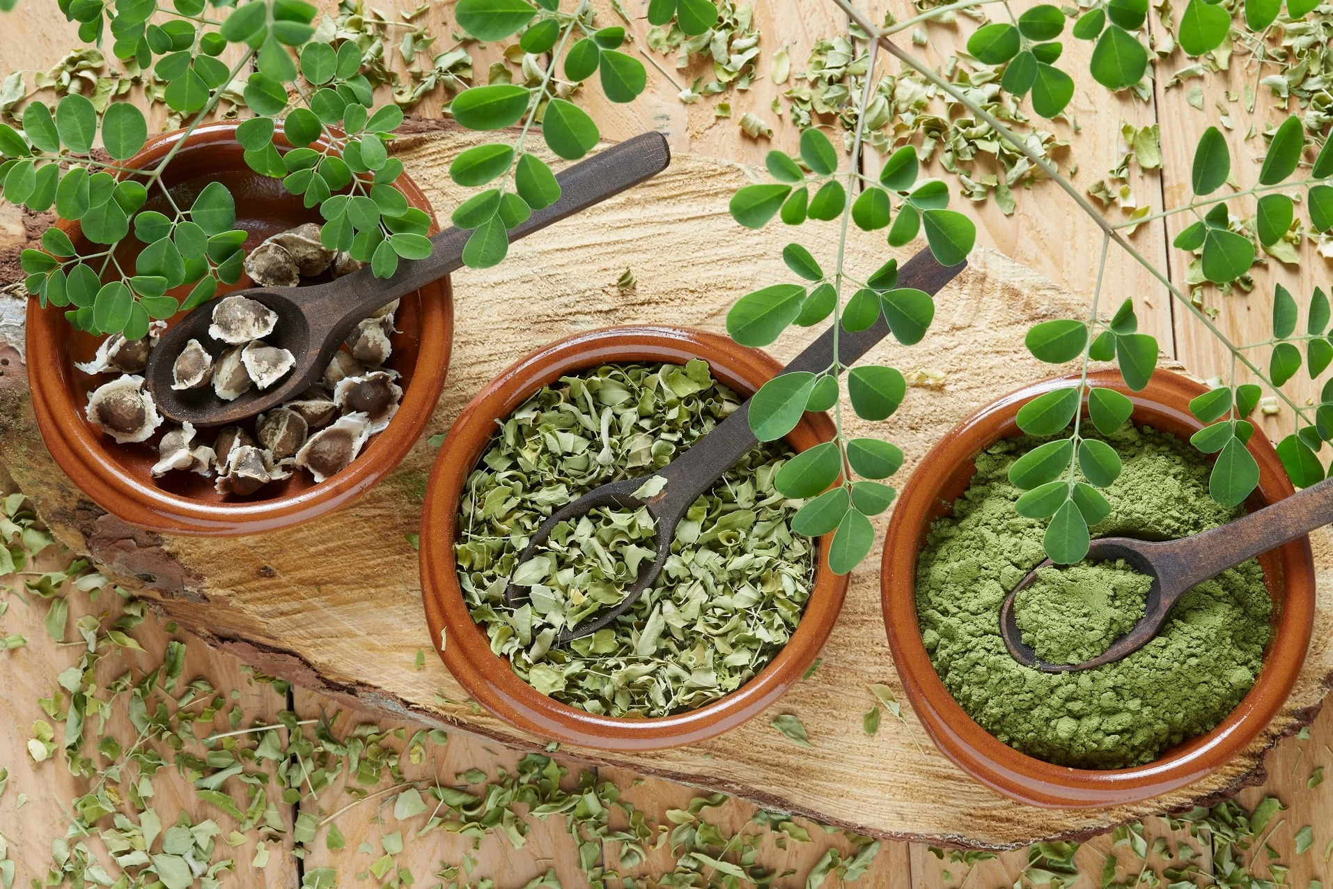 Tưởng cam là "vua" vitamin C, ai ngờ vẫn thua một loại rau trồng nơi góc vườn: Biết dùng thì tốt đủ đường - Ảnh 1. Tưởng cam là "vua" vitamin C, ai ngờ vẫn thua một loại rau trồng nơi góc vườn: Biết dùng thì tốt đủ đường - Ảnh 1.