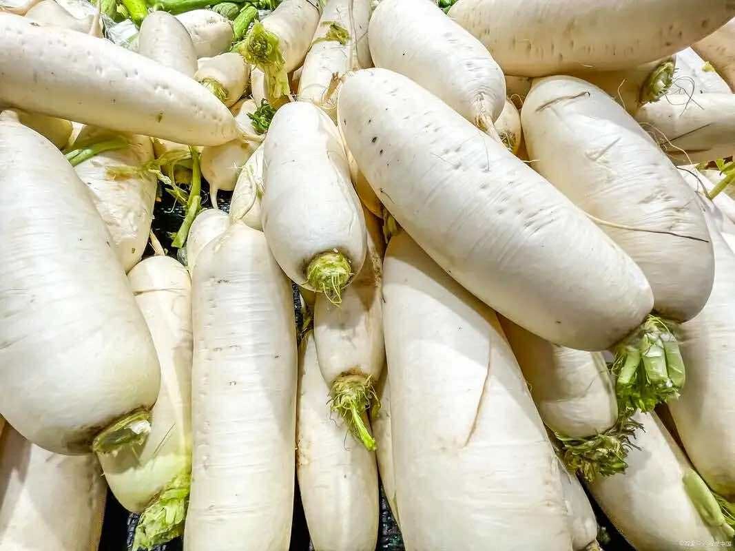 Mùa thu ra chợ cứ mang theo bí quyết chọn 10 loại rau củ quả này thì ngay cả người bán hàng lâu năm cũng phải "bái phục" - Ảnh 2. Mùa thu ra chợ cứ mang theo bí quyết chọn 10 loại rau củ quả này thì ngay cả người bán hàng lâu năm cũng phải "bái phục" - Ảnh 2.