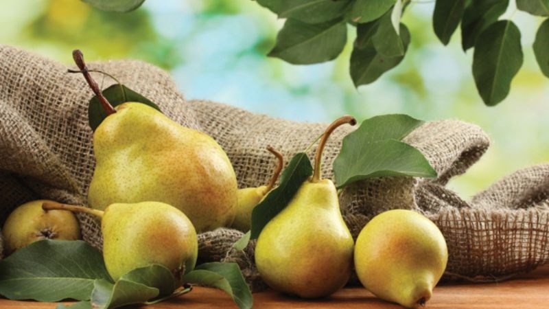 Mùa thu ra chợ cứ mang theo bí quyết chọn 10 loại rau củ quả này thì ngay cả người bán hàng lâu năm cũng phải "bái phục" - Ảnh 5. Mùa thu ra chợ cứ mang theo bí quyết chọn 10 loại rau củ quả này thì ngay cả người bán hàng lâu năm cũng phải "bái phục" - Ảnh 5.