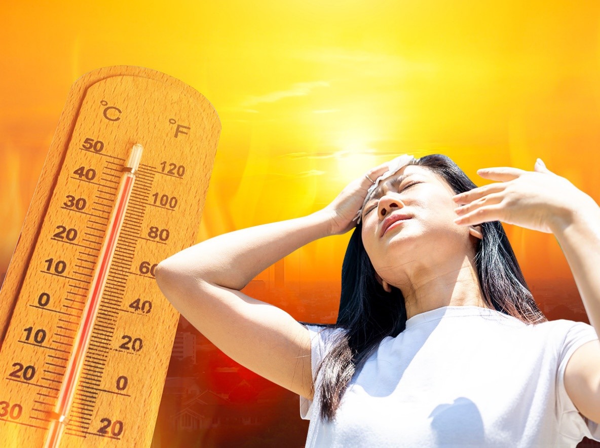 3 loại rau giải nhiệt mùa hè nên có trên mâm cơm mọi nhà trong những ngày nắng nóng cực gắt: Vừa giải nhiệt, bổ máu lại thanh lọc cơ thể- Ảnh 1. 3 loại rau giải nhiệt mùa hè nên có trên mâm cơm mọi nhà trong những ngày nắng nóng cực gắt: Vừa giải nhiệt, bổ máu lại thanh lọc cơ thể- Ảnh 1.