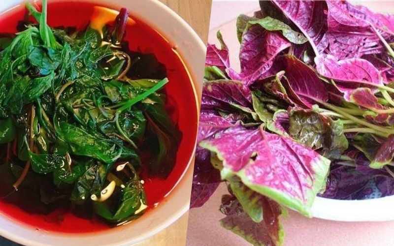 3 loại rau giải nhiệt mùa hè nên có trên mâm cơm mọi nhà trong những ngày nắng nóng cực gắt: Vừa giải nhiệt, bổ máu lại thanh lọc cơ thể- Ảnh 4. 3 loại rau giải nhiệt mùa hè nên có trên mâm cơm mọi nhà trong những ngày nắng nóng cực gắt: Vừa giải nhiệt, bổ máu lại thanh lọc cơ thể- Ảnh 4.