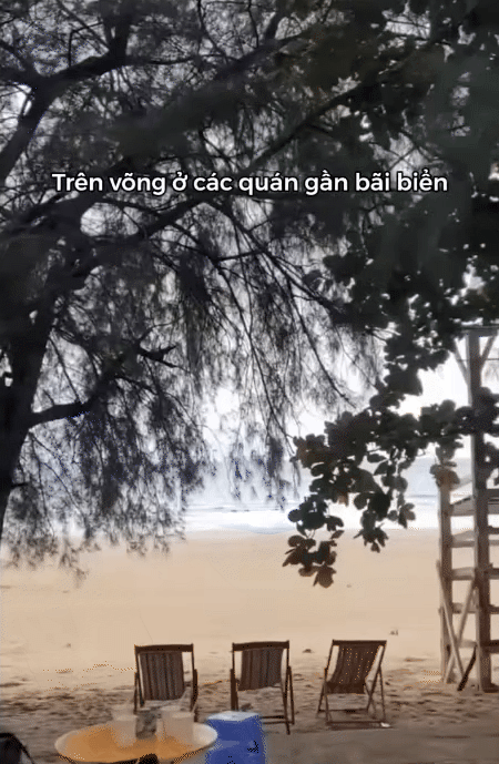 Điểm đến duy nhất ở Việt Nam có thể săn ảnh máy bay hạ cánh sát mặt biển, lại được thưởng thức món hải sản 'độc nhất vô nhị' của đại dương- Ảnh 5. Điểm đến duy nhất ở Việt Nam có thể săn ảnh máy bay hạ cánh sát mặt biển, lại được thưởng thức món hải sản 'độc nhất vô nhị' của đại dương- Ảnh 5.