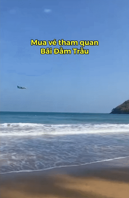 Điểm đến duy nhất ở Việt Nam có thể săn ảnh máy bay hạ cánh sát mặt biển, lại được thưởng thức món hải sản 'độc nhất vô nhị' của đại dương- Ảnh 6. Điểm đến duy nhất ở Việt Nam có thể săn ảnh máy bay hạ cánh sát mặt biển, lại được thưởng thức món hải sản 'độc nhất vô nhị' của đại dương- Ảnh 6.