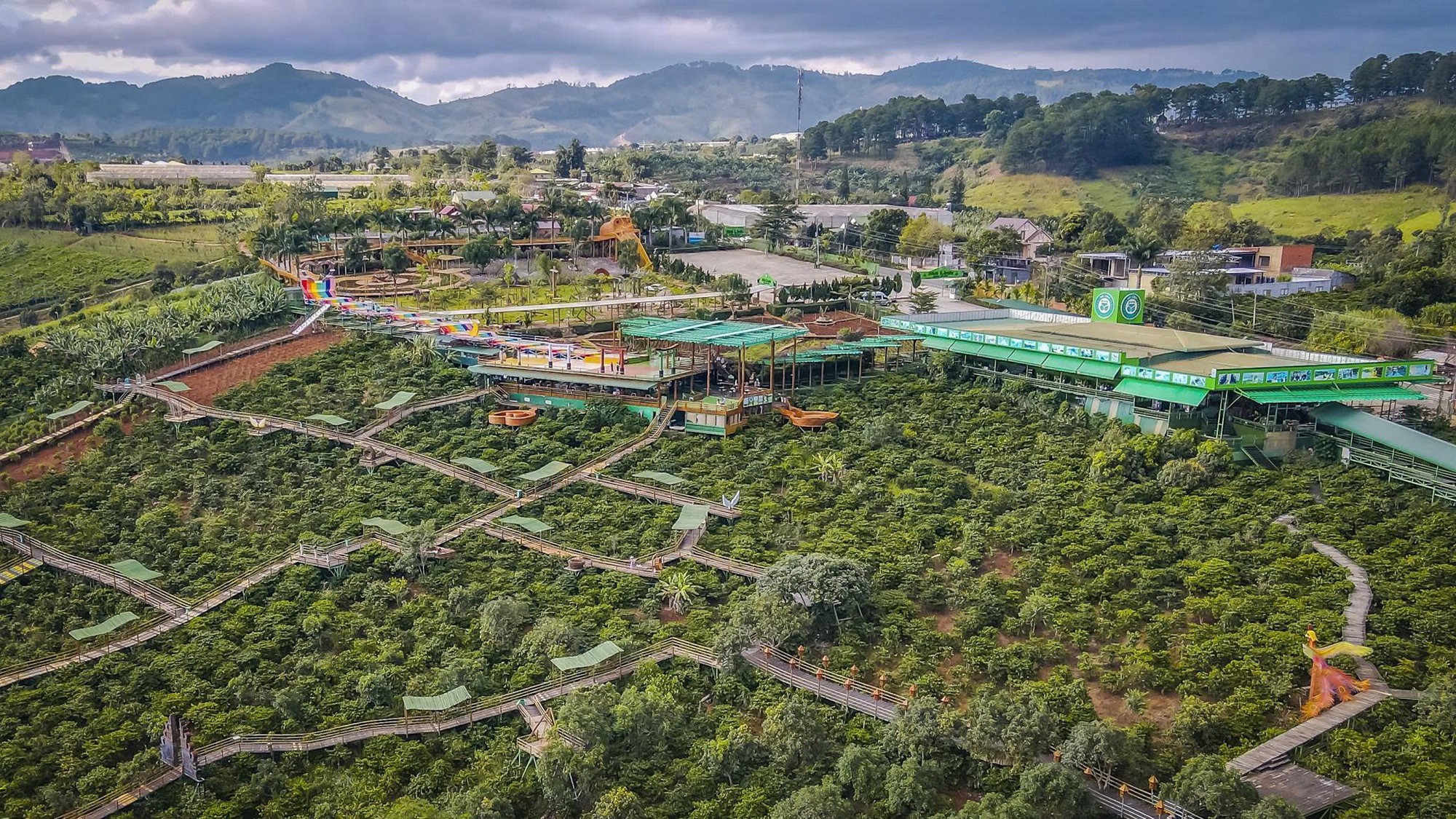 cafe-lam-dong-175428203368251046807-1754294127973-175429412816196530401.jpg