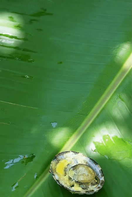 Điểm đến duy nhất ở Việt Nam có thể săn ảnh máy bay hạ cánh sát mặt biển, lại được thưởng thức món hải sản 'độc nhất vô nhị' của đại dương- Ảnh 11. Điểm đến duy nhất ở Việt Nam có thể săn ảnh máy bay hạ cánh sát mặt biển, lại được thưởng thức món hải sản 'độc nhất vô nhị' của đại dương- Ảnh 11.