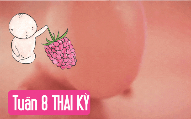 Tuần thai thứ 8: Ngón tay của bé đã thành hình, mẹ đạt đỉnh ốm nghén