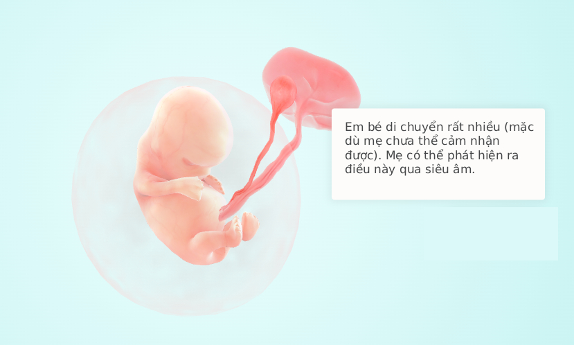 Tuần thai thứ 8: Ngón tay của bé đã thành hình, mẹ đạt đỉnh ốm nghén- Ảnh 6.