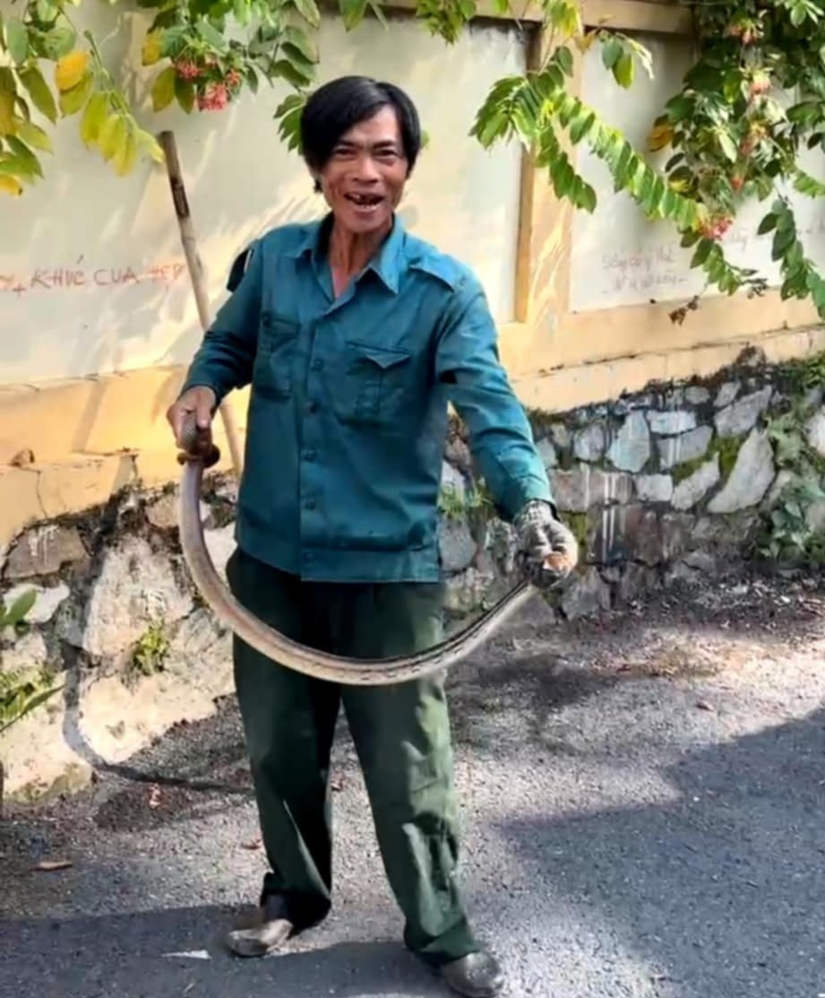 [CLIP] Hoảng hồn khi rắn 'khổng lồ' dài cả mét xuất hiện trong nhà dân ở TPHCM - Ảnh 3.