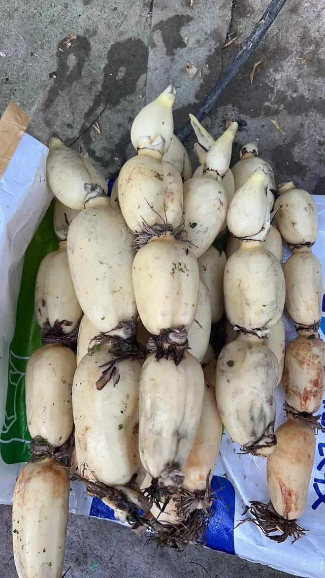 khong-co-tieu-de-1754380454945572003616-1754381871108-17543818713361062011028-1754401869613-17544018697461976504603.png