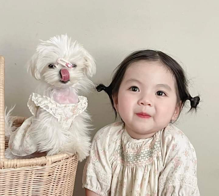 Đứa trẻ yêu thương và được dạy dỗ yêu thương động vật lớn lên sẽ như thế nào?- Ảnh 1. Đứa trẻ yêu thương và được dạy dỗ yêu thương động vật lớn lên sẽ như thế nào?- Ảnh 1.