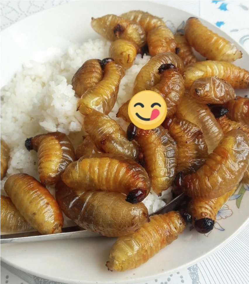 10 món đặc sản nổi tiếng nhưng không phải ai cũng nuốt nổi: 4 món có mặt tại Việt Nam - Ảnh 7. 10 món đặc sản nổi tiếng nhưng không phải ai cũng nuốt nổi: 4 món có mặt tại Việt Nam - Ảnh 7.