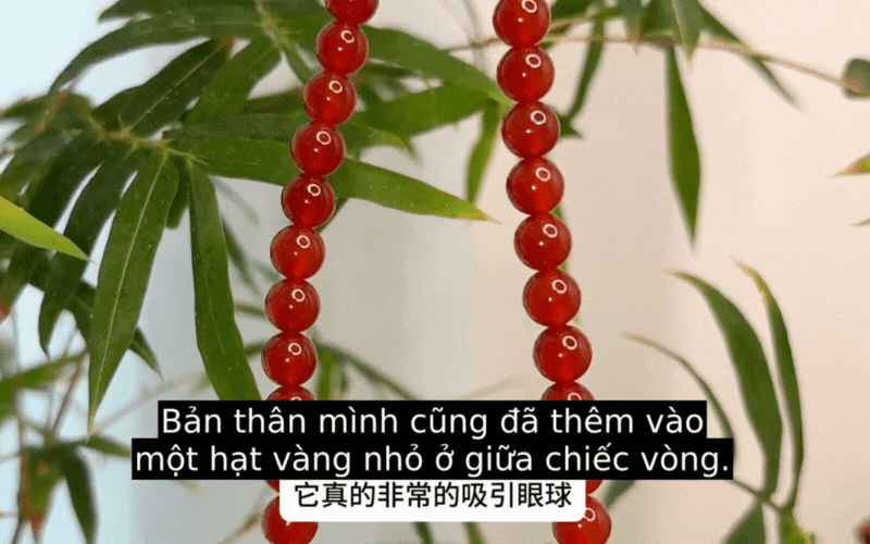 chuyen-nha-doi-van-7-17545412226531986443556.gif
