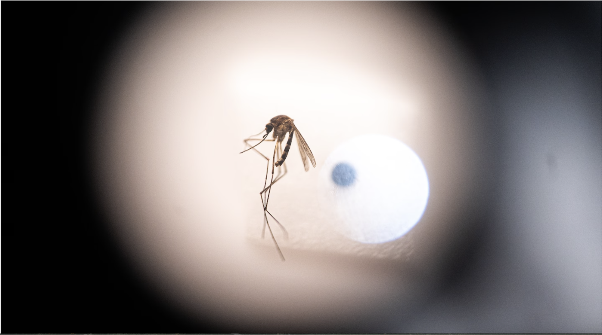 anh-man-hinh-2025-08-08-luc-104140-1754633080884-17546330809901537614448.png