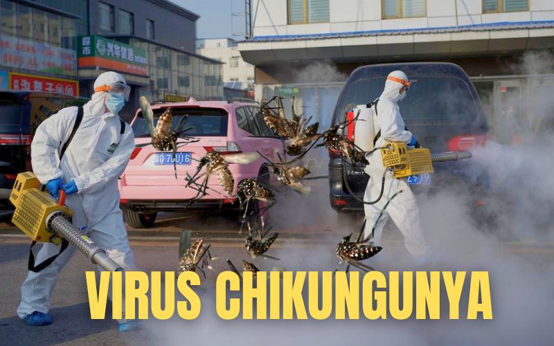 Virus Chikungunya &quot;phá hủy nội tạng&quot; bùng phát khiến WHO phát đi kêu gọi hành động khẩn cấp nguy hiểm thế nào?