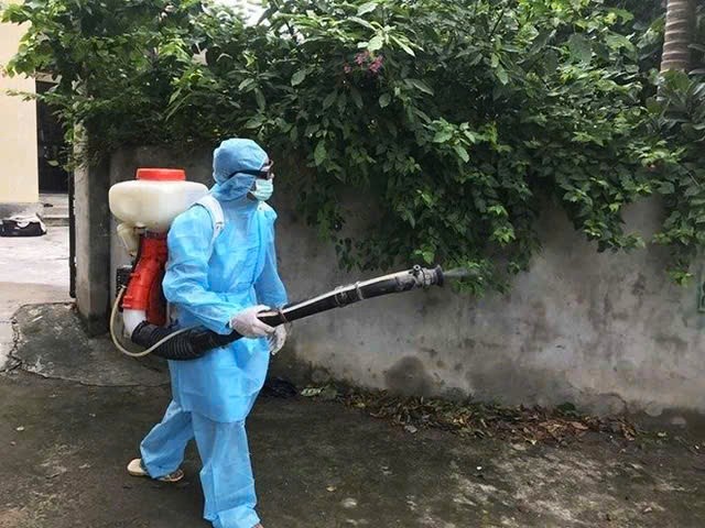 Virus Chikungunya 