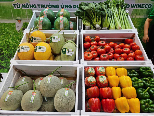 Khu vườn WinEco thu hút hàng ngàn khách tại Vietfood & Beverage - Propack Vietnam 2025 - Ảnh 3.