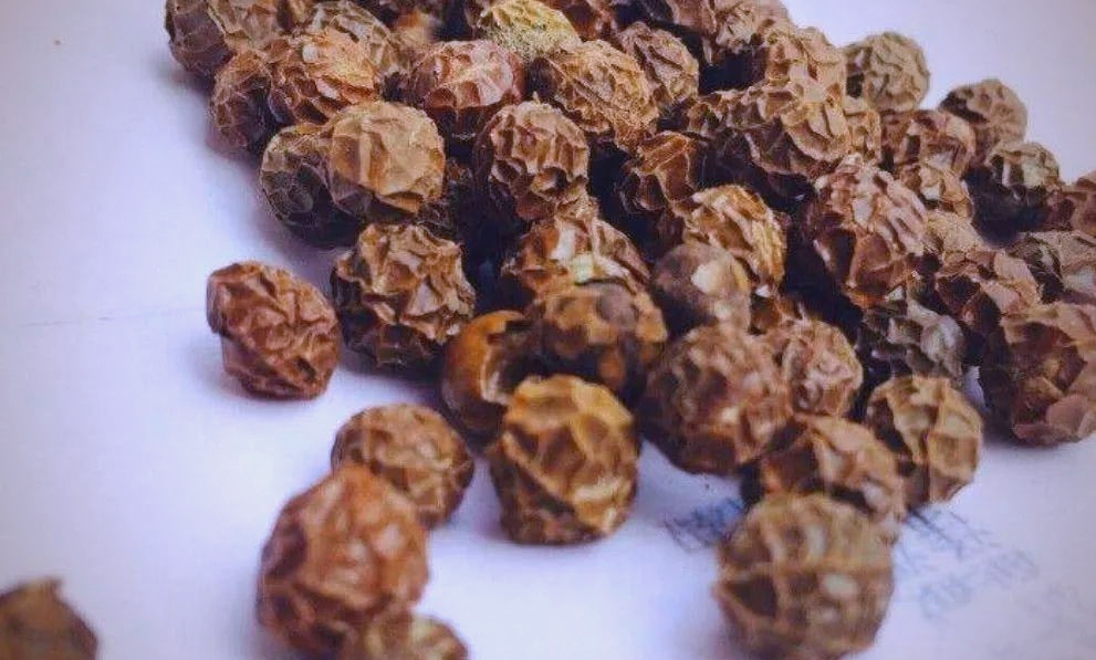 cay-dai-co-ten-la-xua-khong-ai-ngo-nay-gia-dat-do-hai-ban-dem-tien-khong-kip3-1754643028635940426644-1754701586125-17547015862291443652324.jpg