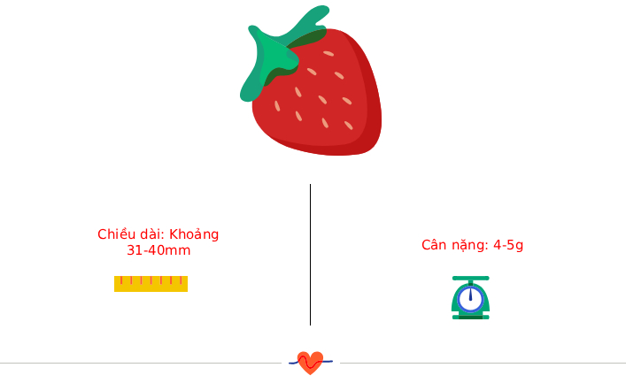 Tuần thai thứ 10: Bé bắt đầu mọc lông tơ và móng tay, mẹ đã thấy bụng lộ dần chưa?- Ảnh 3.
