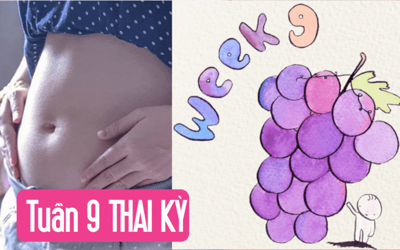 Tuần thai thứ 9: Bé yêu chuyển sang giai đoạn thai nhi, nguy cơ sảy thai giảm đáng kể