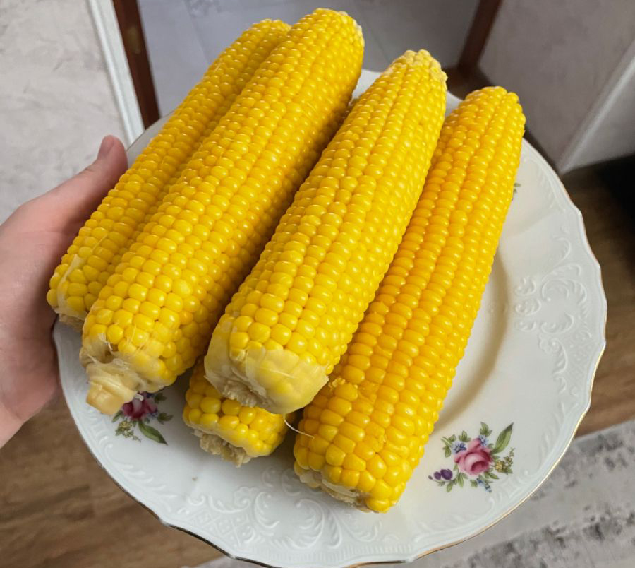 1c-1756699836176-1756699836268693798830.jpg