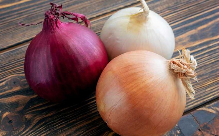 red-yellow-white-onion-img-17567280466642093623557-0-75-536-933-crop-17567280551211098963729-1756742531016-17567425312251858056733.jpg