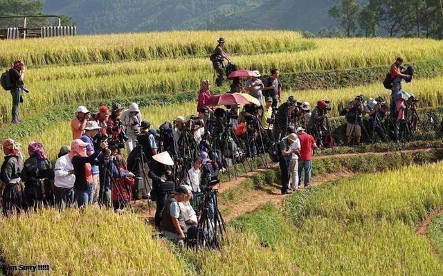 1505mucangchaiyb-1757408556962-17574085573741092772094-1757494377351-17574943775371661049992.jpg
