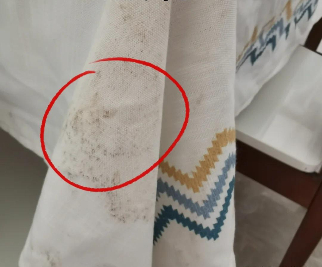 Bước vào tuổi trung niên mới hiểu: Nhà càng ít đồ đạc, cuộc sống càng nhẹ nhõm – đừng tự làm khổ mình - Ảnh 6.
