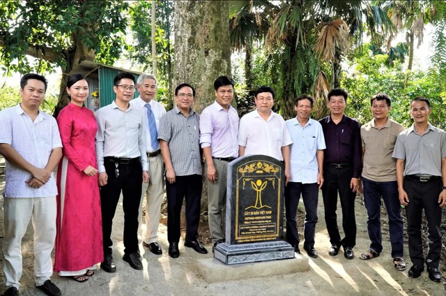 Hai 'báu vật sống' hơn 200 năm tuổi ở Hà Tĩnh: Trị giá trăm tỷ, nay chính thức trở thành Di sản Việt Nam - Ảnh 1. Hai 'báu vật sống' hơn 200 năm tuổi ở Hà Tĩnh: Trị giá trăm tỷ, nay chính thức trở thành Di sản Việt Nam - Ảnh 1.