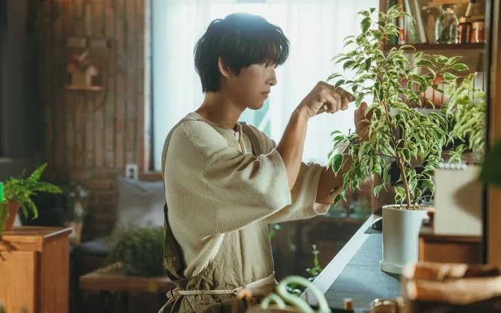 song-joong-ki-3-7266399769004635-17574938710891369218354-1757495793870-17574957942101201078956.jpg