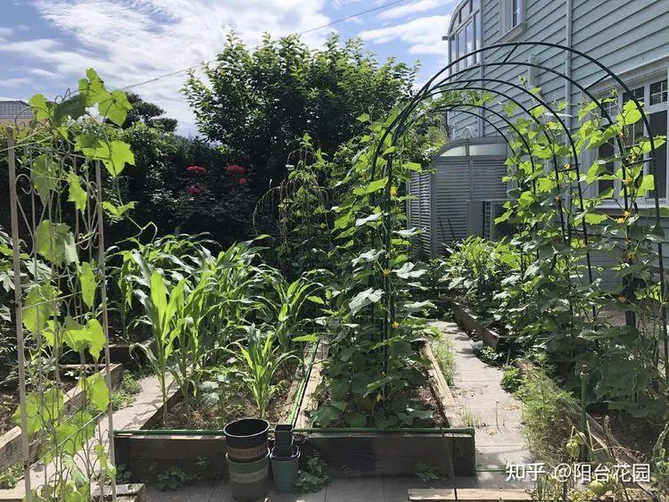 Từ giấc mơ châu Âu đến khu vườn 400m²: Người phụ nữ trung niên biến biệt thự thành thiên đường hoa bốn mùa- Ảnh 15.
