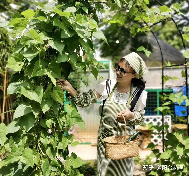 Từ giấc mơ châu Âu đến khu vườn 400m²: Người phụ nữ trung niên biến biệt thự thành thiên đường hoa bốn mùa- Ảnh 14.