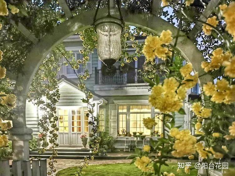 Từ giấc mơ châu Âu đến khu vườn 400m²: Người phụ nữ trung niên biến biệt thự thành thiên đường hoa bốn mùa- Ảnh 7.