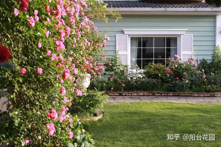 Từ giấc mơ châu Âu đến khu vườn 400m²: Người phụ nữ trung niên biến biệt thự thành thiên đường hoa bốn mùa- Ảnh 5.