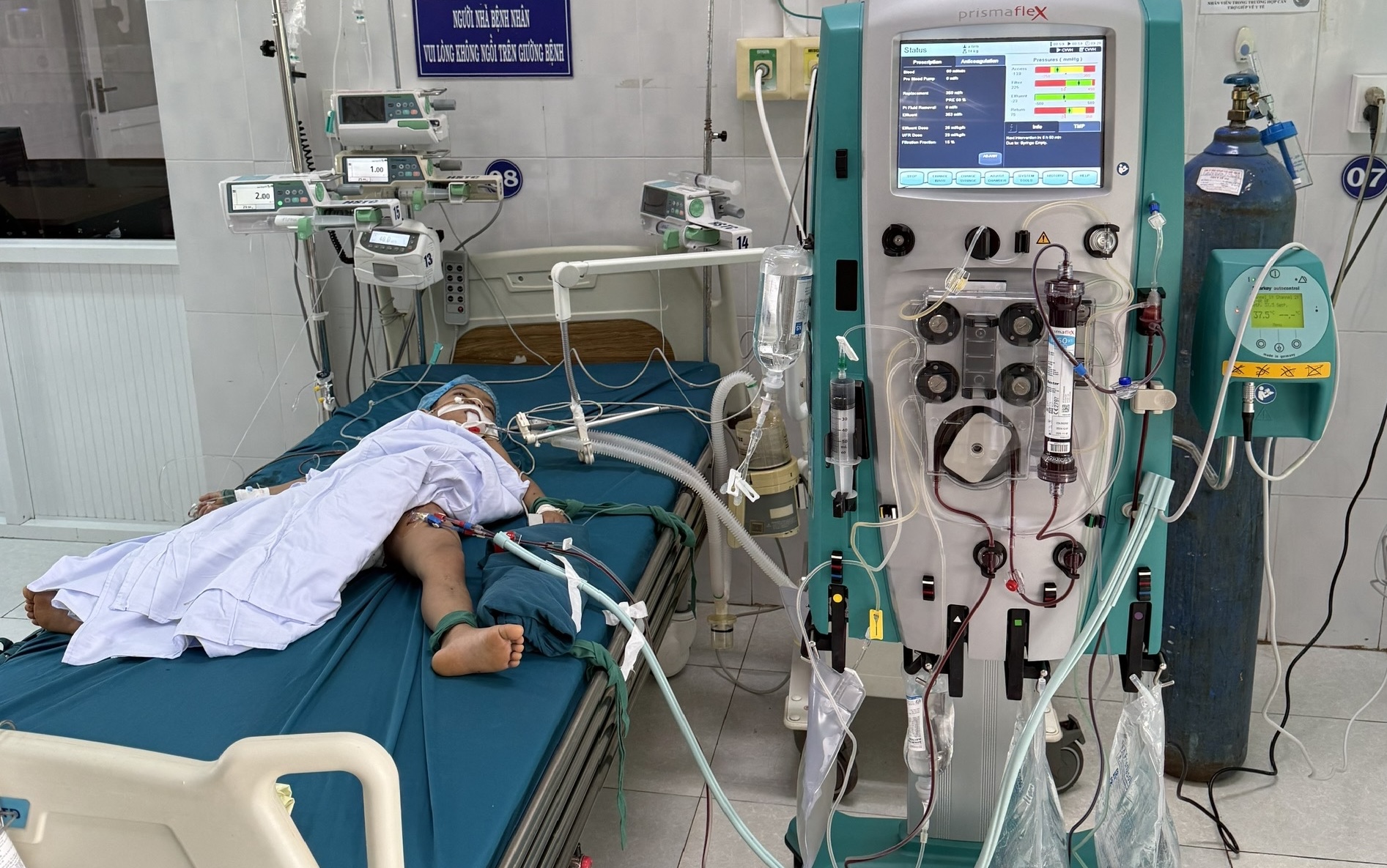 Gia Lai: Bị ong vò vẽ tấn công, 3 cháu nhỏ thương vong - Ảnh 1. Gia Lai: Bị ong vò vẽ tấn công, 3 cháu nhỏ thương vong - Ảnh 1.