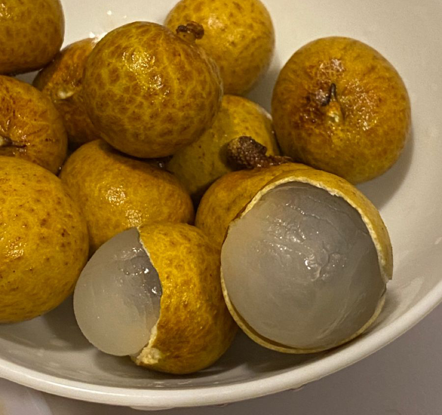 Chị em muốn cải thiện màu da, tăng cường khí huyết nhớ ăn “1 quả, 2 thịt” cực quen nhưng cực bổ - Ảnh 2. Chị em muốn cải thiện màu da, tăng cường khí huyết nhớ ăn “1 quả, 2 thịt” cực quen nhưng cực bổ - Ảnh 2.