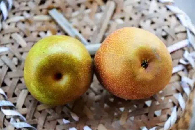 Mua lê đừng dựa vào kích thước, biết 5 điều này sẽ chọn được lê ngon - Ảnh 1.