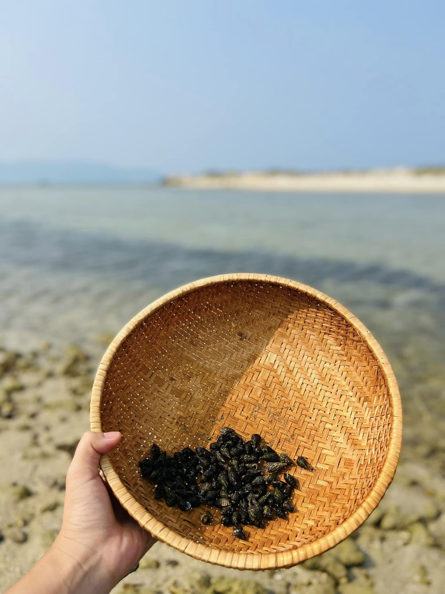 Từng mơ có Từng mơ có